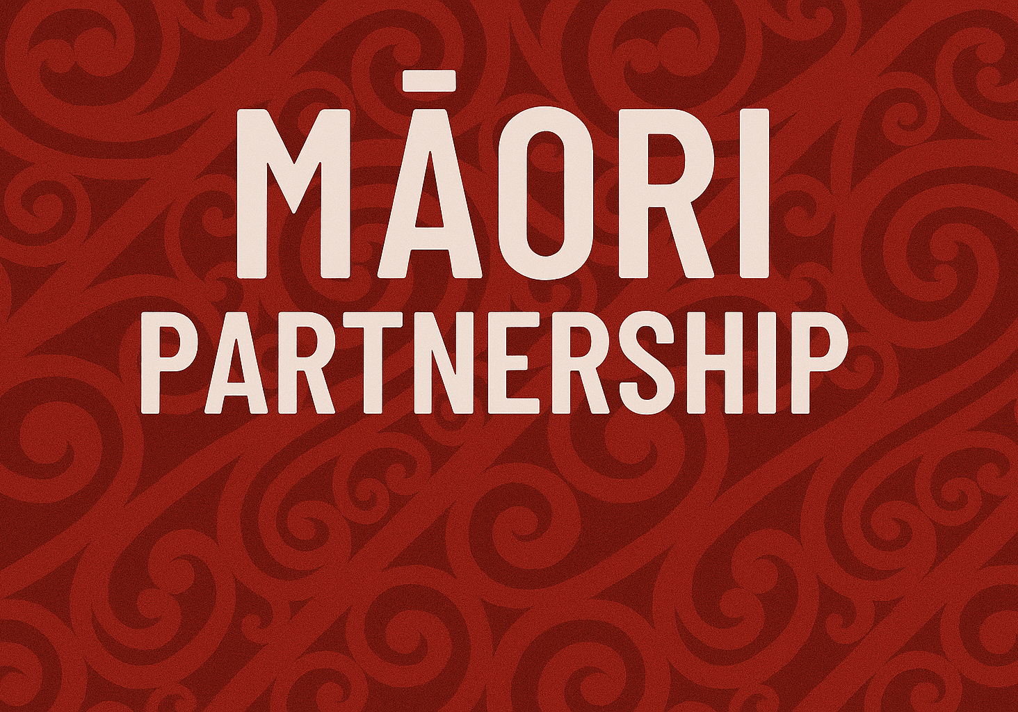 Māori Partnership Northland Elections 2025